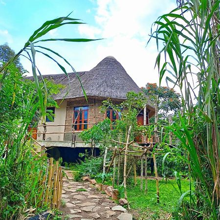 Chimpanzee Capital Safari Lodge Bigodi Zewnętrze zdjęcie
