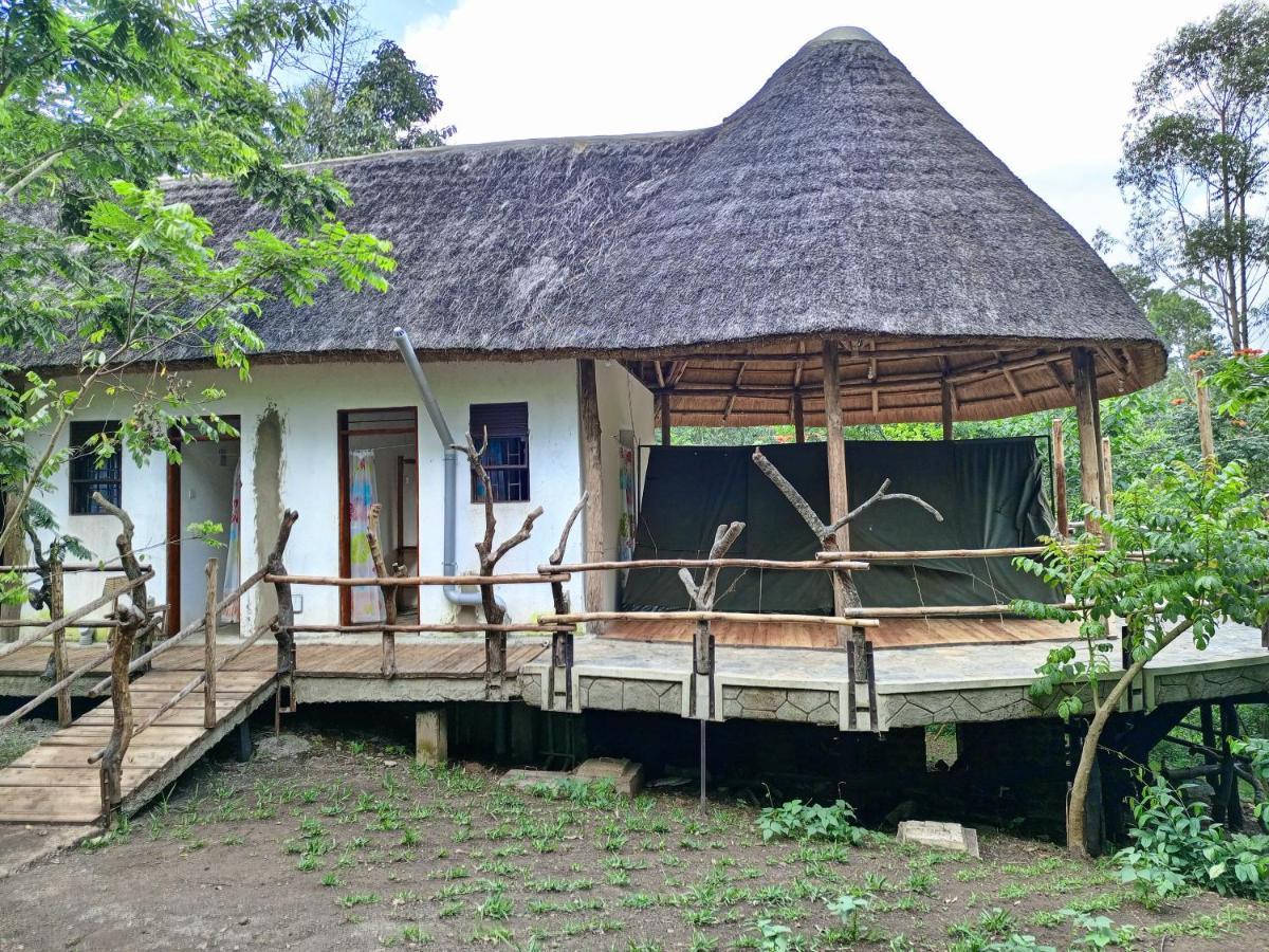 Chimpanzee Capital Safari Lodge Bigodi Zewnętrze zdjęcie