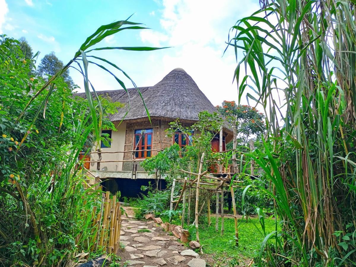Chimpanzee Capital Safari Lodge Bigodi Zewnętrze zdjęcie