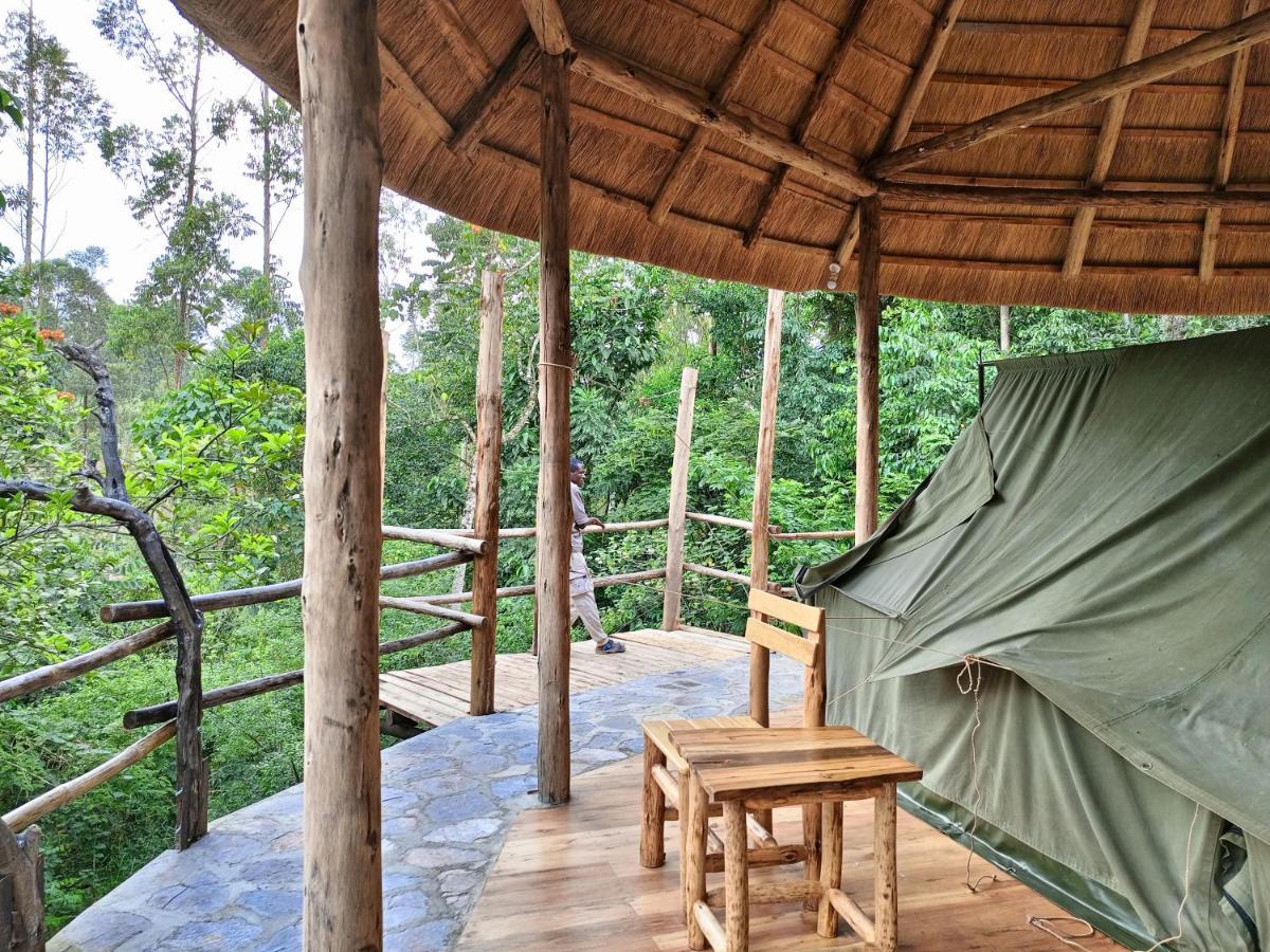 Chimpanzee Capital Safari Lodge Bigodi Zewnętrze zdjęcie