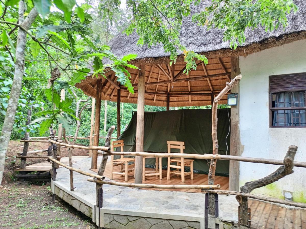 Chimpanzee Capital Safari Lodge Bigodi Zewnętrze zdjęcie