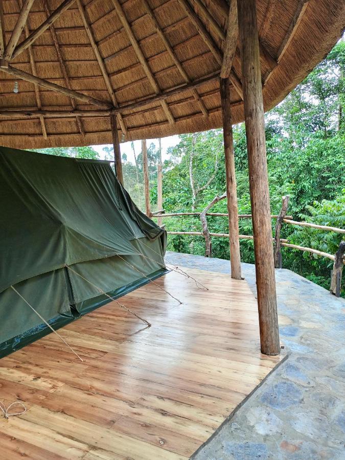 Chimpanzee Capital Safari Lodge Bigodi Zewnętrze zdjęcie