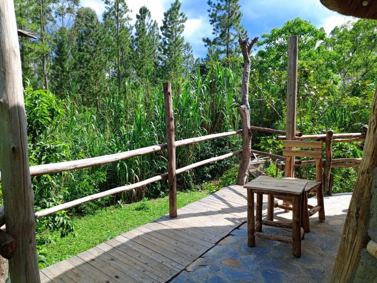 Chimpanzee Capital Safari Lodge Bigodi Zewnętrze zdjęcie