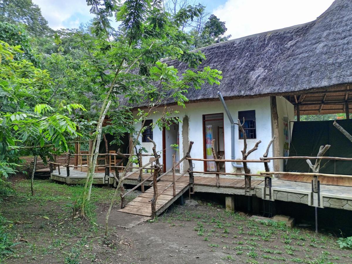 Chimpanzee Capital Safari Lodge Bigodi Zewnętrze zdjęcie