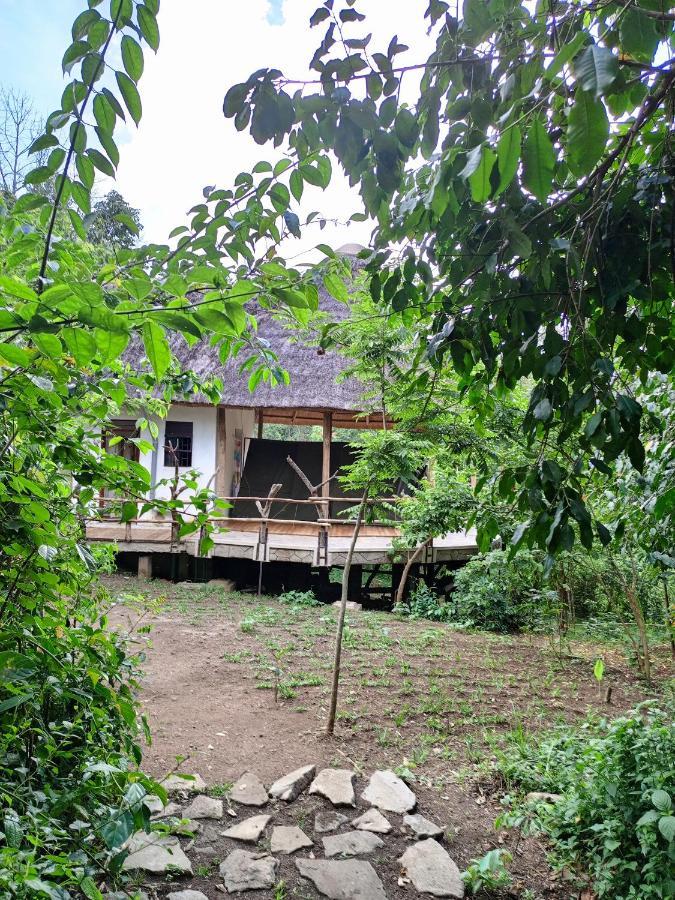 Chimpanzee Capital Safari Lodge Bigodi Zewnętrze zdjęcie