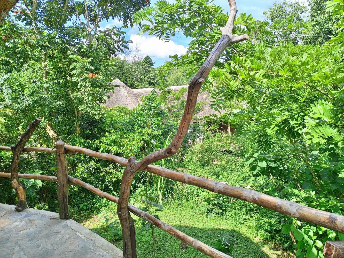 Chimpanzee Capital Safari Lodge Bigodi Zewnętrze zdjęcie