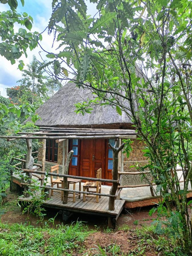 Chimpanzee Capital Safari Lodge Bigodi Zewnętrze zdjęcie